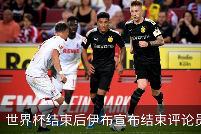 世界杯结束后伊布宣布结束评论员生涯：这是第一次，也是最后一次